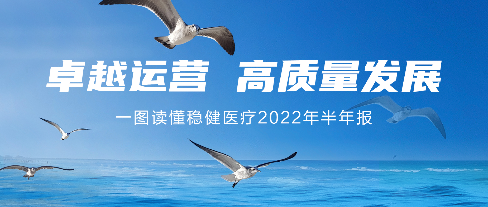 һͼǲ(й)Ź2022걨